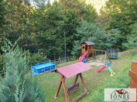 casa-de-de-vanzare-in-pianu-strungari-11