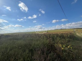 teren-extravilan-arabil-10-ha-4