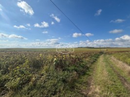 teren-extravilan-arabil-10-ha-1