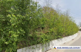 teren-intravilan-1466-mp-de-vanzare-pitesti-bascov-arges-13