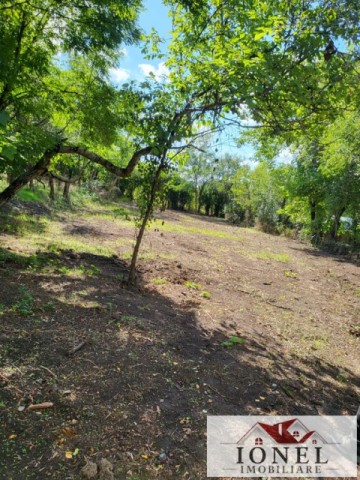 casa-de-vanzare-in-bihor-comuna-abram-2