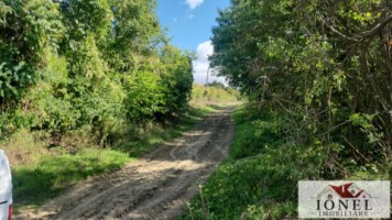 casa-de-vanzare-in-bihor-comuna-abram-5