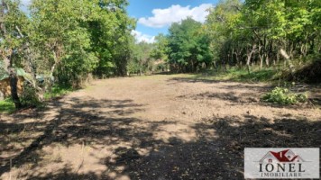 casa-de-vanzare-in-bihor-comuna-abram-3