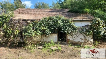 casa-de-vanzare-in-bihor-comuna-abram-7