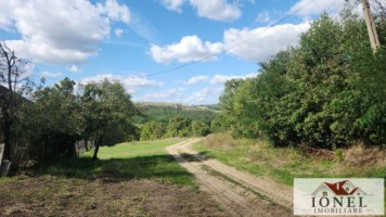 casa-de-vanzare-in-bihor-comuna-abram-8