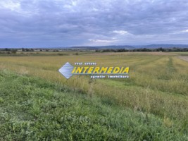 okazie-2300-mp-teren-intravilan-mereteu-lat-22-m-toate-utilitatiile-in-fata-5