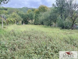 casa-de-vanzare-in-bucerdea-vinoasa-14