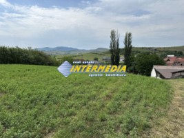 vanzare-teren-intravilan-ighiu-telna-2060-mp-deschidere-20-m-asfalt-apa-gaz-curent-canal-vedere-si-panorama-deosebita-16