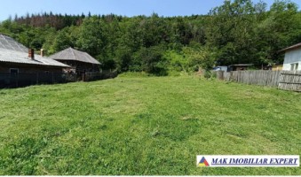 teren-4000-mp-intravilan-de-vanzare-in-aninoasa-arges-0