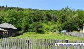 teren-4000-mp-intravilan-de-vanzare-in-aninoasa-arges-1