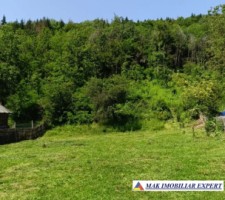 teren-4000-mp-intravilan-de-vanzare-in-aninoasa-arges-2