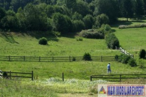 teren-911-mp-intravilan-in-dambovicioara-arges-4