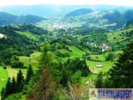 teren-911-mp-intravilan-in-dambovicioara-arges-5