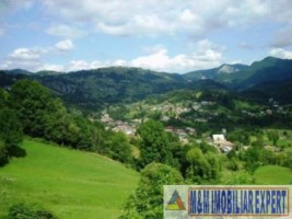 teren-911-mp-intravilan-in-dambovicioara-arges-6