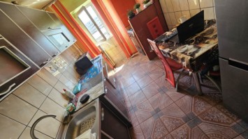 malu-rosu-3cam-cf1a-dec-24-gft-intab-83500-euro-14