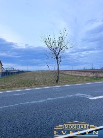 teren-extravilan-4500mp-situat-in-vladeni-botosani-la-strada-principala
