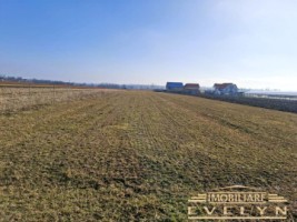 teren-extravilan-4500mp-situat-in-vladeni-botosani-la-strada-principala-1