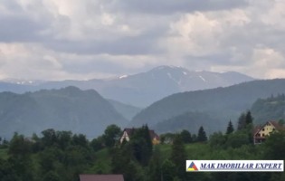 teren-6500-mp-intravilan-in-valea-cheii-dambovicioara-arges-12