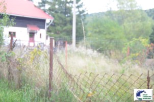 teren-intravilan-situat-in-bustenivalea-alba-0