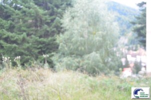 teren-intravilan-situat-in-bustenivalea-alba-4