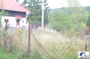 teren-intravilan-situat-in-bustenivalea-alba-7