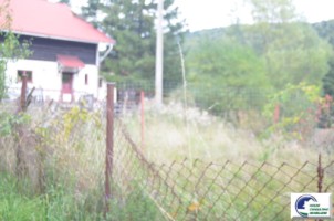 teren-intravilan-situat-in-bustenivalea-alba-8