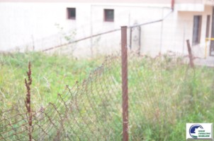teren-intravilan-situat-in-bustenivalea-alba-9