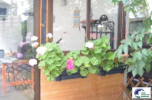 casa-de-vacanta-situata-in-busteni-valea-alba-6
