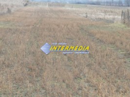 teren-intravilan-4200-mp-de-vanzare-alba-micesti-cu-utiliati-langa-1
