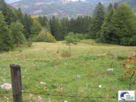 predeal-valea-rasnoavei