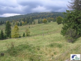 predeal-valea-rasnoavei-2