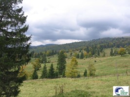 predeal-valea-rasnoavei-3