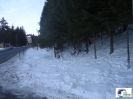 predeal-teren-intravilan-de-vanzare-sanatoriu-1