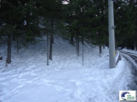 predeal-teren-intravilan-de-vanzare-sanatoriu-2