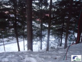 predeal-teren-intravilan-de-vanzare-sanatoriu-3