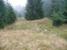 teren-intravilanvalea-rasnoavei