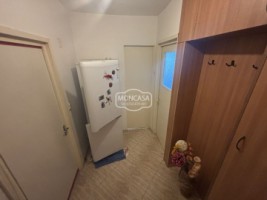 vizionare-on-line-garsoniera-zona-primaverii-etaj-9-4