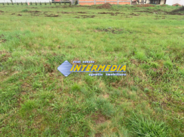 teren-intravilan-710-mp-de-vanzare-in-zona-cetate-piata-cu-utilitati-0