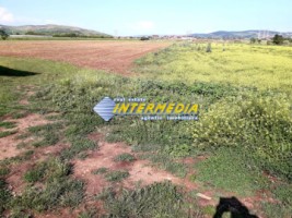 teren-intravilan-de-vanzare-3550-mp-alba-micesti