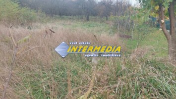 teren-intravilan-de-vanzare-1000-mp-oarda-2