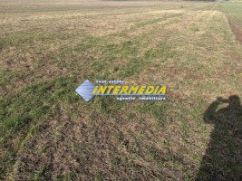 teren-intravilan-cu-apa-si-canal-zona-ampoi-3-alba-iulia-de-vanzare