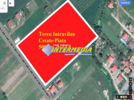 ocazie-teren-intravilan-de-vanzare-500-mp-piata-cetate-cu-puz-aprobat-5
