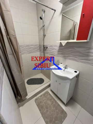 inchiriez-ap2-camere-decomandat-la-casarenovat-zona-p-ta-cluj-7