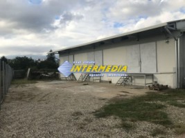 hala-pentru-multiple-activitati-de-265-mp-608-mp-teren-alba-iulia-de-vanzare