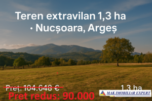 teren-13-ha-extravilan-in-nucsoara-arges