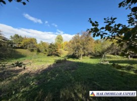 teren-13-ha-extravilan-in-nucsoara-arges-2