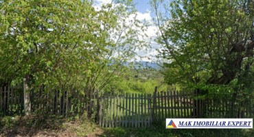 teren-13-ha-extravilan-in-nucsoara-arges-3