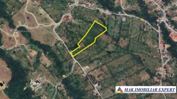 teren-13-ha-extravilan-in-nucsoara-arges-14