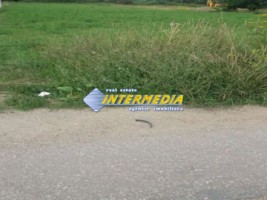 teren-de-vanzare-zona-stadion-1