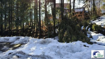 sinaia-teren-intravilan-ideal-pentru-investitiefurnica